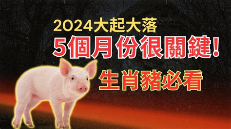 2024年猪运程|【屬豬2024生肖運勢】暗湧頻生，運勢反覆｜屬豬運 